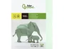 Liderpapel Cartulina A3 180g/m2 Verde Paquete 100 Hojas