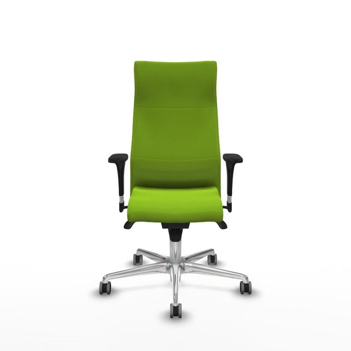 PIQUERAS Y CRESPO Sillón Albacete Pistacho con Mecanismo Sincro y Base de Aluminio PIQUERAS Y CRESPO Sillón Albacete Pistacho con Mecanismo Sincro y Base de Aluminio