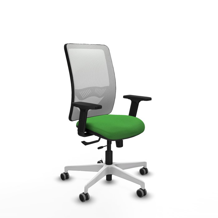 PIQUERAS Y CRESPO Silla de oficina Zulema con mecanismo Sincro/Traslack, Verde y Blanco PIQUERAS Y CRESPO Silla de oficina Zulema con mecanismo Sincro/Traslack, Verde y Blanco