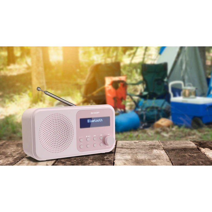 Sharp DR-P420(PK) Radio Digital Portátil Blossom Pink Sharp DR-P420(PK) Radio Digital Portátil Blossom Pink