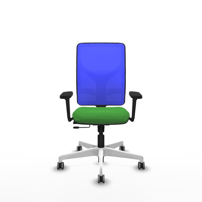 PIQUERAS Y CRESPO Silla de oficina Motilla con mecanismo Sincro/Traslack Verde y Azul PIQUERAS Y CRESPO Silla de oficina Motilla con mecanismo Sincro/Traslack Verde y Azul