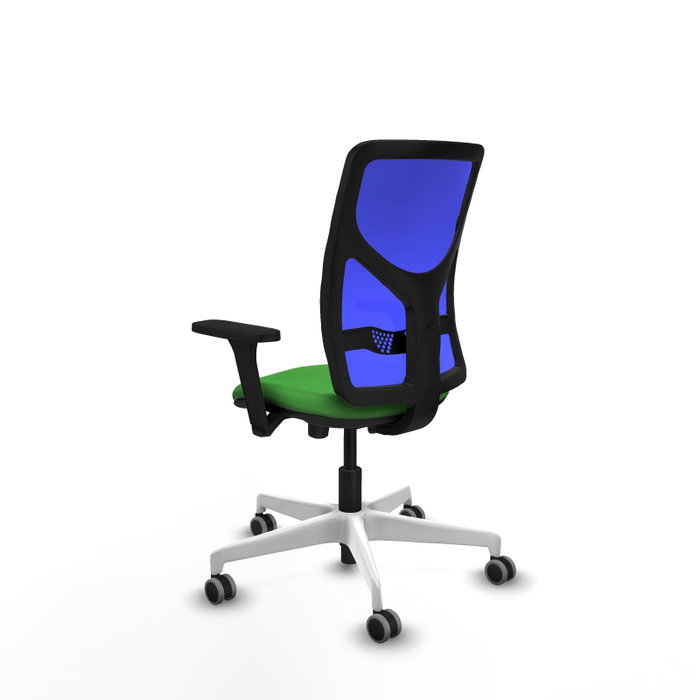 PIQUERAS Y CRESPO Silla de oficina Motilla con mecanismo Sincro/Traslack Verde y Azul PIQUERAS Y CRESPO Silla de oficina Motilla con mecanismo Sincro/Traslack Verde y Azul