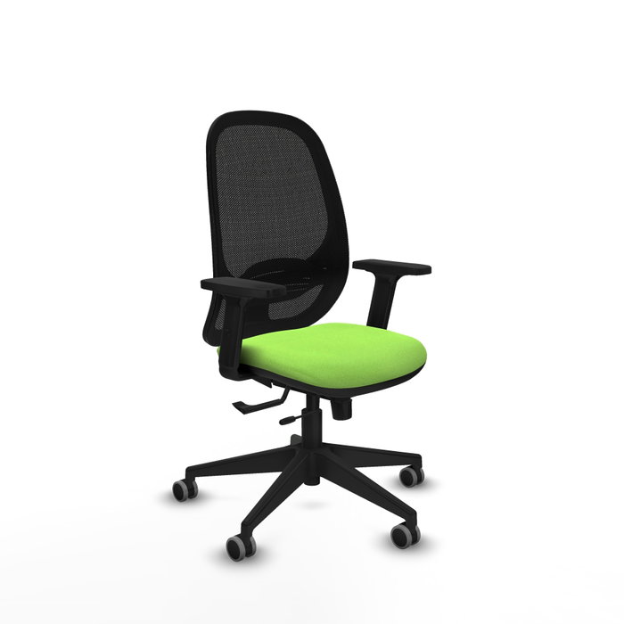 PIQUERAS Y CRESPO Silla de oficina Cilanco con mecanismo Sincro/Traslack, Pistacho y Negro PIQUERAS Y CRESPO Silla de oficina Cilanco con mecanismo Sincro/Traslack, Pistacho y Negro