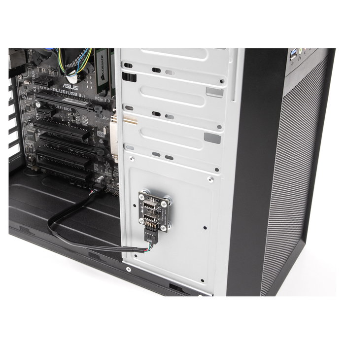 DeLOCK 67176 Adaptador de USB header de 9 pines a 2 x USB Type-E Key A con cable de 30 cm