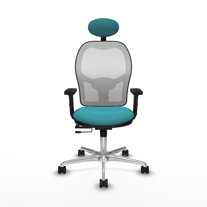 PIQUERAS Y CRESPO Silla de oficina Jorquera con mecanismo Sincro/Traslack, Turquesa y Blanco PIQUERAS Y CRESPO Silla de oficina Jorquera con mecanismo Sincro/Traslack, Turquesa y Blanco