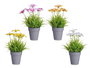 Ibergarden Maceta Flor Abierta Surtidos 14 x 21 x 14 cm (Set de 24)