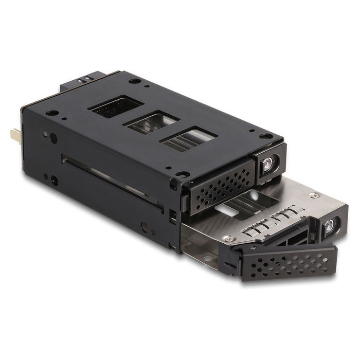 DeLOCK Bandeja para 2 SSD U.2 NVMe de 2.5" en marco de 5.25", Slim Bay, Negro, Micro SAS/SATA, Metal, Incluye Tornillos