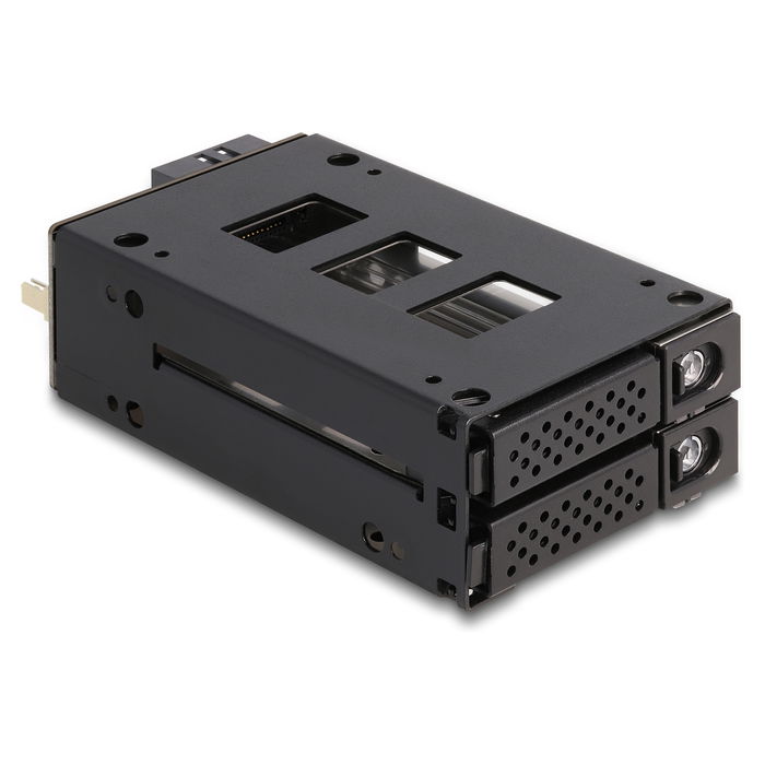 DeLOCK Bandeja para 2 SSD U.2 NVMe de 2.5" en marco de 5.25", Slim Bay, Negro, Micro SAS/SATA, Metal, Incluye Tornillos