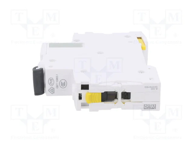 SCHNEIDER ELECTRIC Interruptor magnetotérmico iC60H 13A 1P Característica C