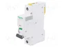 SCHNEIDER ELECTRIC Interruptor magnetotérmico iC60H 13A 1P Característica C