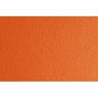 Sadipal Cartulina LR 220 Texturizada 50x70cm Aragosta (Set de 20)