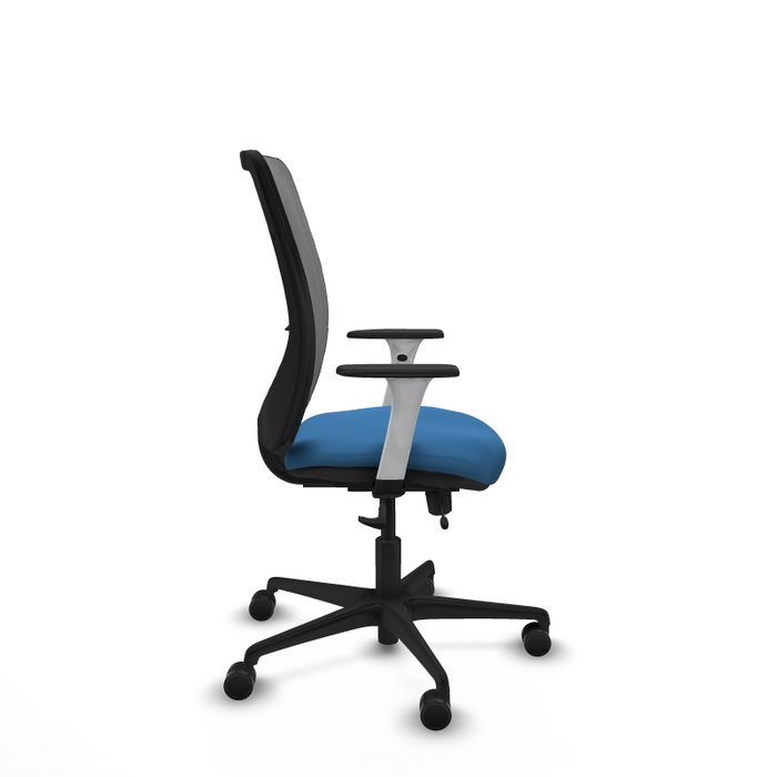PIQUERAS Y CRESPO Silla de oficina Zulema con mecanismo Sincro/Traslack, Azul claro y Gris PIQUERAS Y CRESPO Silla de oficina Zulema con mecanismo Sincro/Traslack, Azul claro y Gris