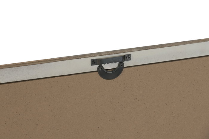 DKD Home Decor Cuadro Cristal Abeto Coral 40x3,5x50 Surt. 6 unidades