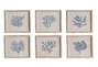 DKD Home Decor Cuadro Cristal Abeto Coral 40x3,5x50 Surt. 6 unidades