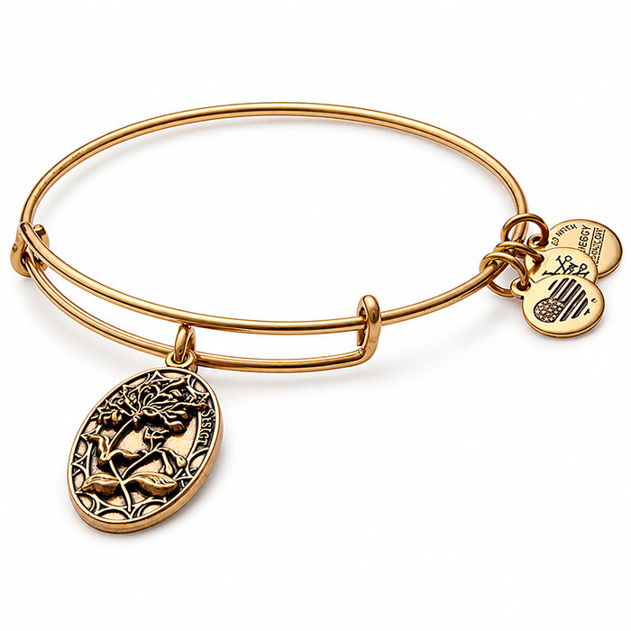Alex And Ani Pulsera Dorada de Metal con Cierre Ajustable Alex And Ani Pulsera Dorada de Metal con Cierre Ajustable