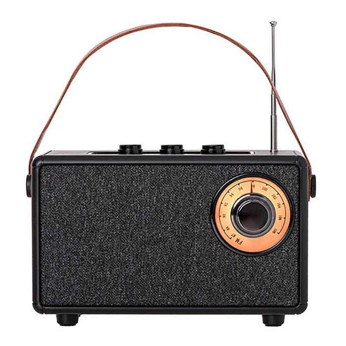 Camry CR 1902 Radio Portátil FM/Altavoz Bluetooth con TWS, Radio FM 87-108 MHz, USB-C, SD Card, AUX, 1500 mAh, Color Negro con Asa