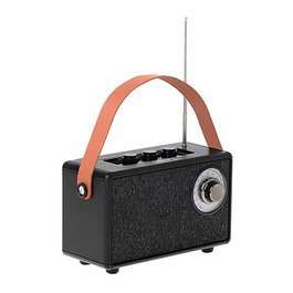 Camry CR 1902 Radio Portátil FM/Altavoz Bluetooth con TWS, Radio FM 87-108 MHz, USB-C, SD Card, AUX, 1500 mAh, Color Negro con Asa