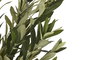 DKD Home Decor Árbol Verde 50 x 120 x 50 cm (2 Unidades)