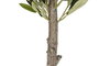 DKD Home Decor Árbol Verde 50 x 120 x 50 cm (2 Unidades)