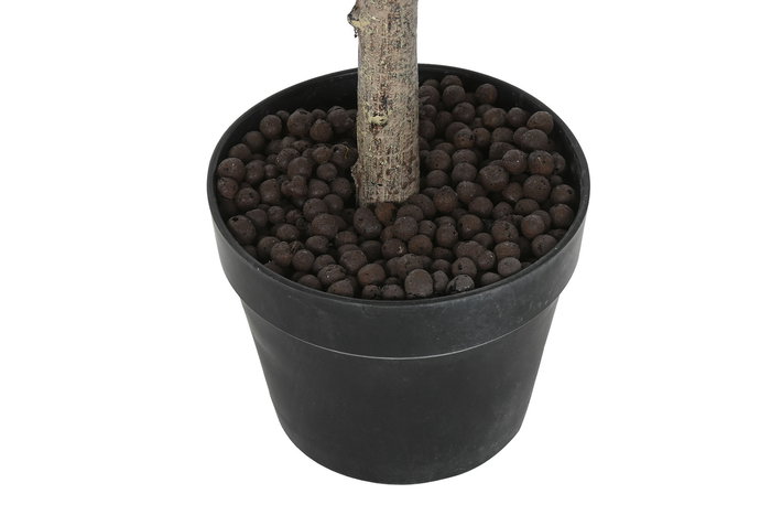 DKD Home Decor Árbol Verde 50 x 120 x 50 cm (2 Unidades)