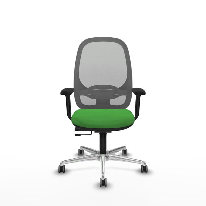 PIQUERAS Y CRESPO Silla de oficina Cilanco con mecanismo Sincro/Traslack, verde y gris PIQUERAS Y CRESPO Silla de oficina Cilanco con mecanismo Sincro/Traslack, verde y gris