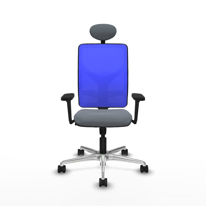 PIQUERAS Y CRESPO Silla de oficina Motilla con Mecanismo Sincro, Tela Gris y Malla Azul PIQUERAS Y CRESPO Silla de oficina Motilla con Mecanismo Sincro, Tela Gris y Malla Azul
