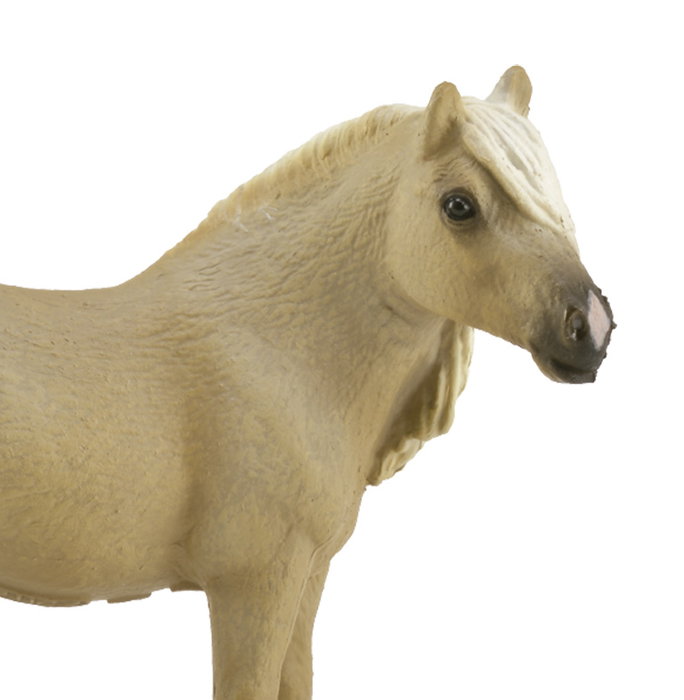 Collecta Yegua Falabella Palomino M 88820 Caballo Mini Raza Pequeña