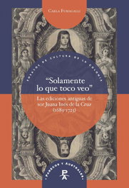 ?Solamente lo que toco veo?, Carla Fumagalli - IBEROAMERICANA - VERVUERT