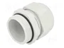 FIBOX Sello aislante PG29 IP68 gris