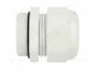 FIBOX Sello aislante PG29 IP68 gris