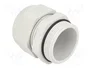 FIBOX Sello aislante PG29 IP68 gris