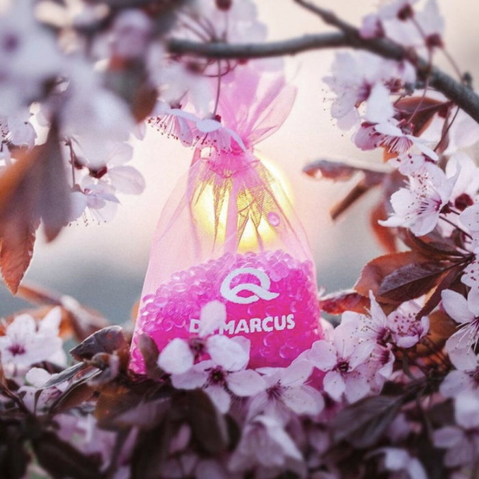 Drmarcus Ambientador Fresh Bag Bubble Gum