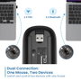 Ewent Ratón Inalámbrico Recargable Dual Bluetooth/WiFi RGB