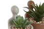 DKD Home Decor Planta Terracota Crema 9 x 12 x 7 cm (4 Unidades)