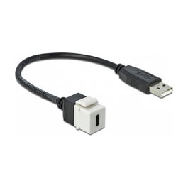 DeLOCK Módulo Keystone USB 2.0 C Hembra a USB 2.0 A Macho Plano