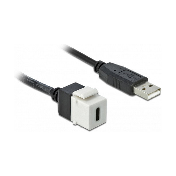 DeLOCK Módulo Keystone USB 2.0 C Hembra a USB 2.0 A Macho Plano