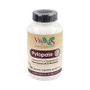 Vbyotics Pylopass 100 cápsulas vegetales de 571mg