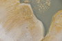 DKD Home Decor Cuadro Lienzo MDF 100x100 Palmera Surtido de 2