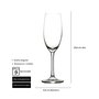 Summa Duna Copa Champagne, Capacidad 21 cl, Altura 221 mm, Diámetro 70 mm, Cristalino con Borde Fino (Set de 6)