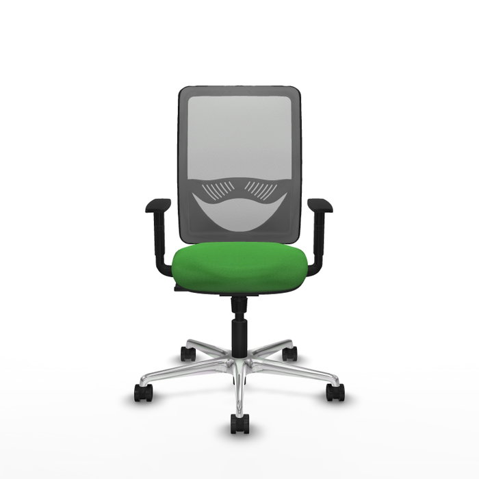 PIQUERAS Y CRESPO Silla de oficina Zulema con mecanismo Sincro, Verde y Gris PIQUERAS Y CRESPO Silla de oficina Zulema con mecanismo Sincro, Verde y Gris