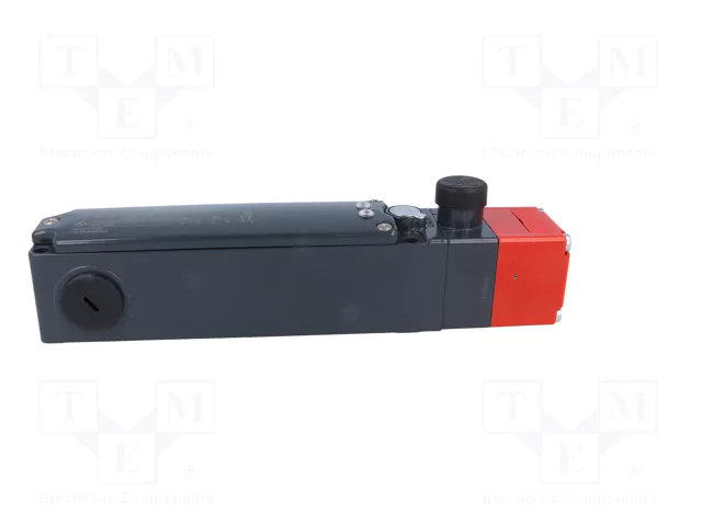 PIZZATO ELETTRICA FG 60AD5D2Z Interruptor de seguridad acerrojado