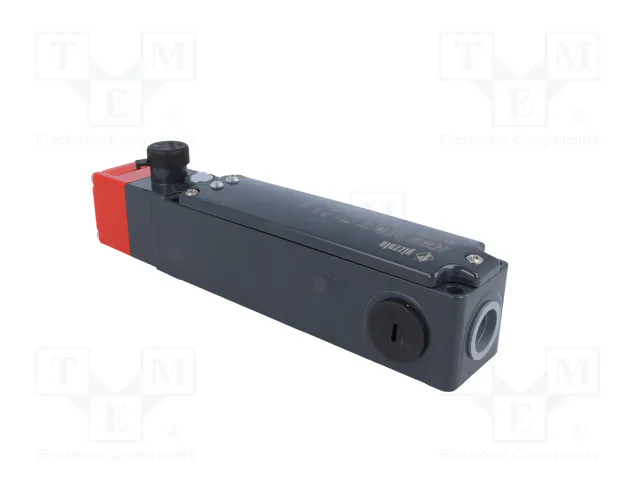 PIZZATO ELETTRICA FG 60AD5D2Z Interruptor de seguridad acerrojado