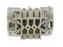 WIELAND Conector HDC macho de 6 pines, tamaño 6