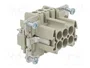 WIELAND Conector HDC macho de 6 pines, tamaño 6
