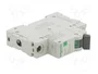 SCHNEIDER ELECTRIC Interruptor magnetotérmico Easy9 Pro 1P 6A 6kA