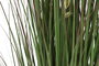 DKD Home Decor Planta de Avena Verde y Amarillo 40x40x90 cm