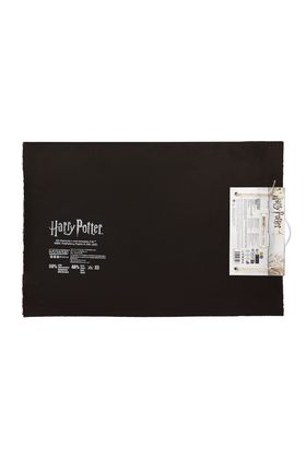 SD TOYS Felpudo Muggles Welcome Harry Potter 60x40cm Fibra de Coco Base PVC