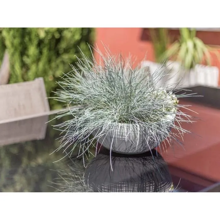 Eda Maceta de lavabo Graphit'Up Ø 30 - 5.5L - Blanco cal Eda Maceta de lavabo Graphit'Up Ø 30 - 5.5L - Blanco cal