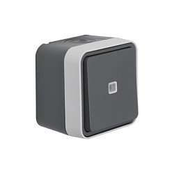 BERKER 50763505 Pulsador iluminado con conmutador W.1 gris