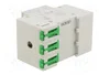 SCHNEIDER ELECTRIC Limitador de sobretensiones Easy9 EZ Tipo 2 de 3 polos